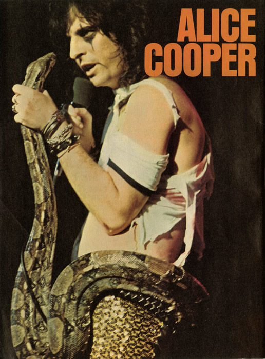 ALICE COOPER POSTER Snake Live on Stage Early Years NEW 